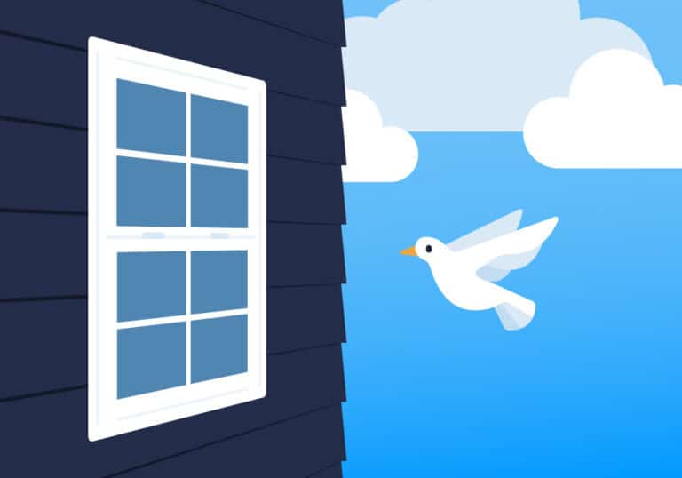 graphic of a white bird flying near a house window