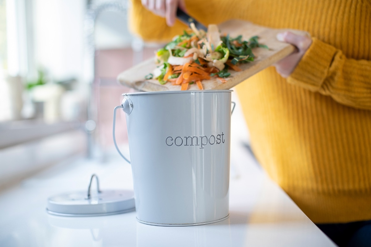 countertop compost bin